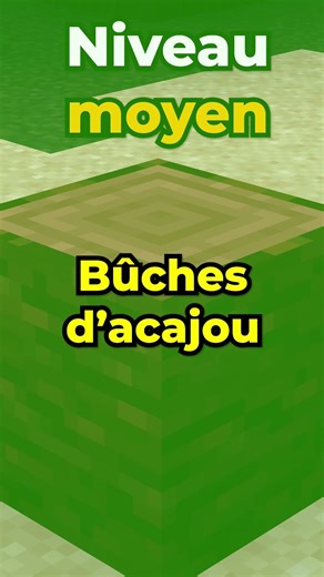 DEVINE LE BLOC sur Minecraft