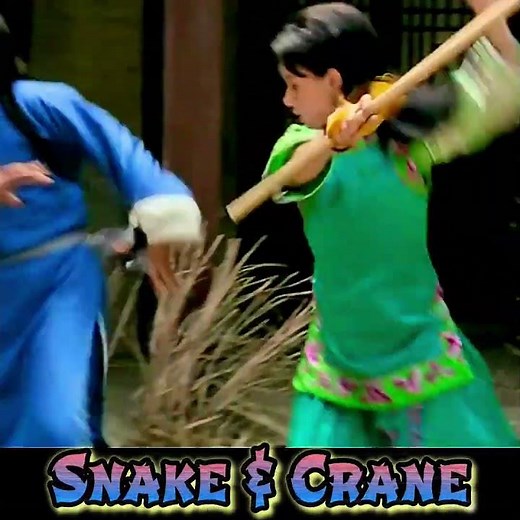 Jackie Chan's last serious kung fu film. #movie