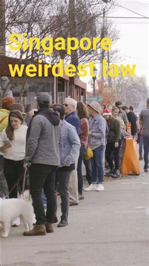 Chewing Gum Is Illegal Here... And That's Why It's Rich #shorts