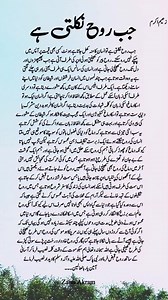 Egyptian Museum"Unveiling History: The 4,500-Year-Old Tunic at the Egyptian Museum"#AncientHistory #EgyptianMuseum #HistoricalTreasures #archaeologylovers🌹🌹🌹🌹"Unveiling History: The 4,500-Year-Old Tunic at the Egyptian Museum"😱🥰🇯🇴😊#videoviralシ #BMW@highlightchizo_1_germny_k | Zaim Akram