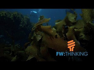 Farming under the sea