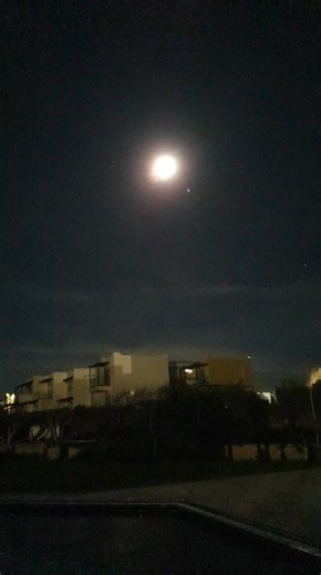 Good Night Guten Nacht From Beautiful Paradise Malia Stalida Crete Greece Neon Family Hotel Rousakis Nikos Saturday 03 01 26 | Φίλοι Neon Hotel