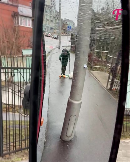 21K views · 252 reactions | Hero steps up for elderly lady's bus access | Fabiosa Life Stories | Facebook