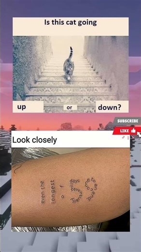 Meme of the day😂 #funny #daliymemes #memes