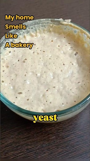 My Home Smells Like A Bakery | Making Yeast is Addiction #shortsfeed