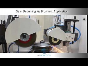 GEAR TEETH DEBURRING & BRUSHING MACHINE - DB