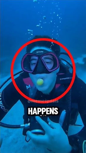 If You Ever Soak an Egg in Vinegar for 24 Hours 🥚🧪