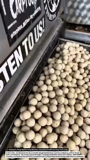Automatic Dough Ball Forming Machine | Industrial Food Processing Technology.