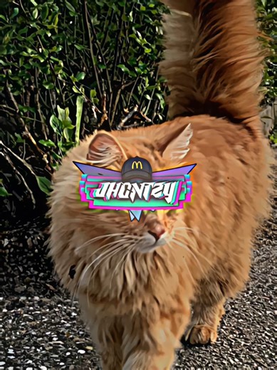 Alight Motion Preset Collection by Jhontzy