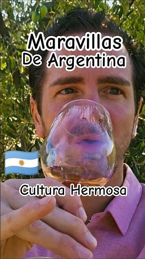 Wonders of Argentina and its Beautiful Culture | Visiting Wineries in Mendoza