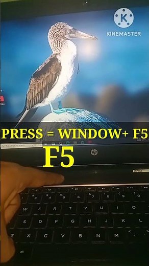 # New Shortcut Key Laptop window Refresh | How To Refresh Laptop/ pc with keyboard.