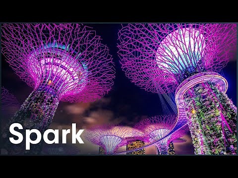 Singapore's Incredible 160-Foot Supertrees