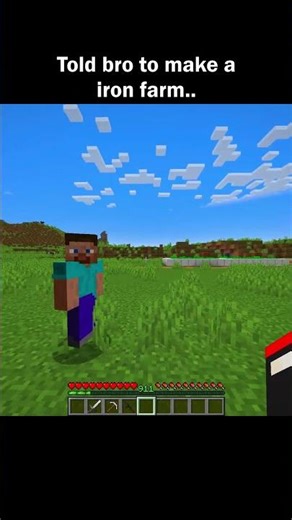 Told bro to make￼ an iron farm..