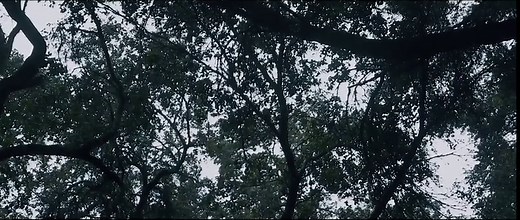 Hurst 5388022 Shifter Stick