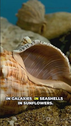 MIT Caught Second Zero on Camera?!