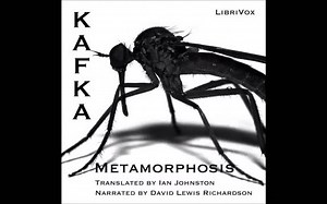 The Metamorphosis by Franz Kafka提供中英文电子版书籍