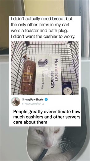 Buying bread to avoid awkward checkout with toaster and bath plug