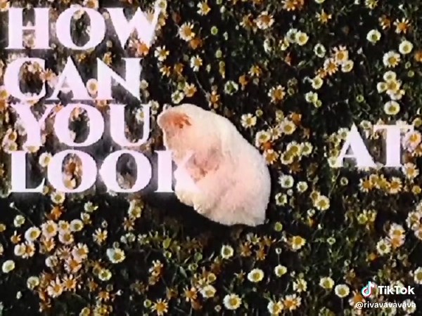 Songs About Friendship: Reflecting on Lost Connections