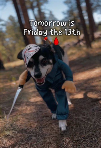 Embrace the Vibes of Friday the 13th!