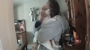 Lucy Letby asks to hug cat as killer nurse arrested for murdering babies