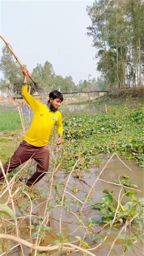 Searching for fish in the river
