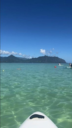 透き通ったエメラルドグリーンの海が広がる #カネオヘ の #サンドバー #ハワイ #ハワイ旅行 #hawaii #sandbar #kaneohe #beach