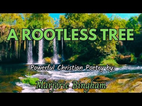 Rootless Tree –A powerful Inspirational Christian Poem | By Marjorie Bingham