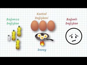 Bağımlı ve Bağımsız Değişken