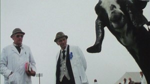 Watch Showtime - BFI Player