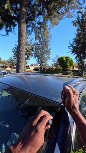 Expert Car Windshield Replacement Services Near You