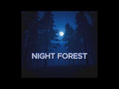 Moonlight Forest Night 🌙 Deep Sleep Sounds | Relaxing Night Ambience (8 Hours)