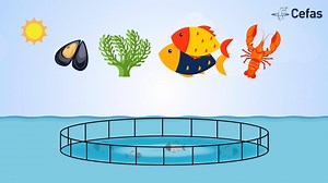 25K views · 601 reactions | The Centre for Environment, Fisheries and...