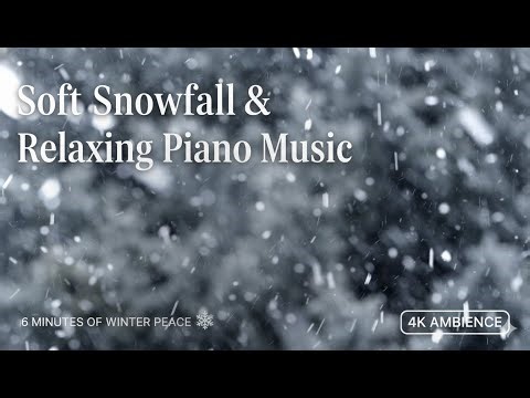 Relaxing Snowfall for Sleep, Study, and Stress Relief | Winter Ambience