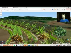 3D Agroforestry Design Benefits