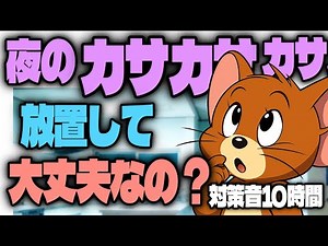 【近所はどうしてる？】ネズミが嫌がるとされる音｜生活環境調整10時間（2026 Type-L）