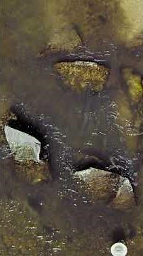 The Calm Before the Storm | Yellowstone #Shorts