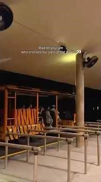 Not your regular zoo—Singapore’s Night Safari is the world’s FIRST nocturnal wildlife park!