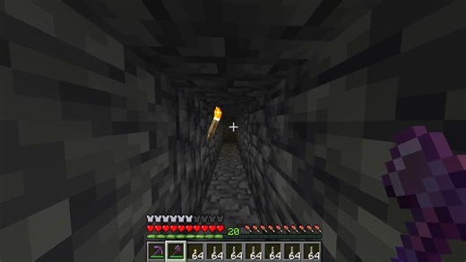 Voice Reveal and Minecraft Memes