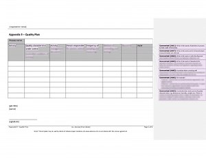 Quality Plan [IATF 16949 document]