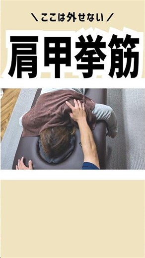 肩こり指圧でここは外せない！肩甲挙筋！ #整体 #肩こり #横浜