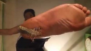 Imagine being squashed like that