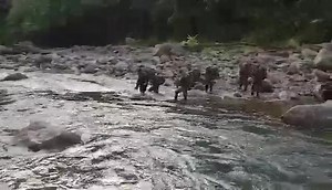 38K views · 147 reactions | Footage showing 95th Infantry Battalion (95IB) search and rescue team members crossing a river as they search for missing passengers of an ill-fated Cessna plane at the Sierra Madre mountains of Isabela on January 27, 2023. | Philippine Army | Facebook