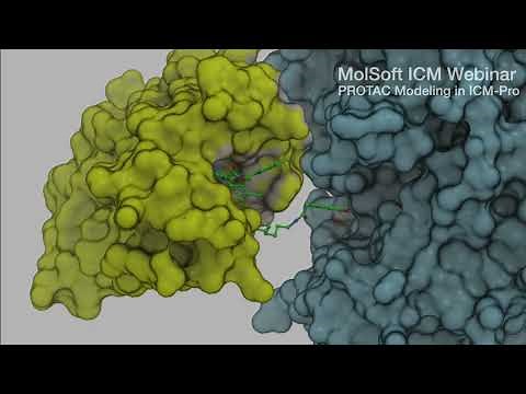 PROTAC Modeling in MolSoft's ICM-Pro Software.