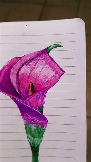 Calla Lily with Colored Pen#callalily#coloreddrawing#traditionalart