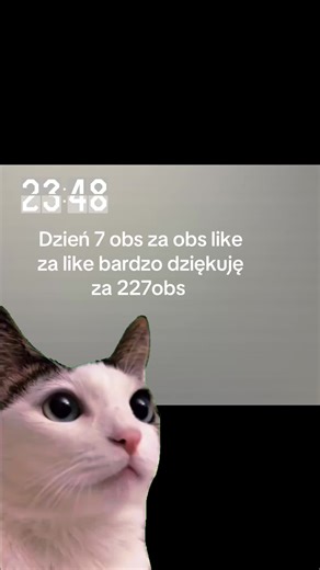 ###obs za obs like za like