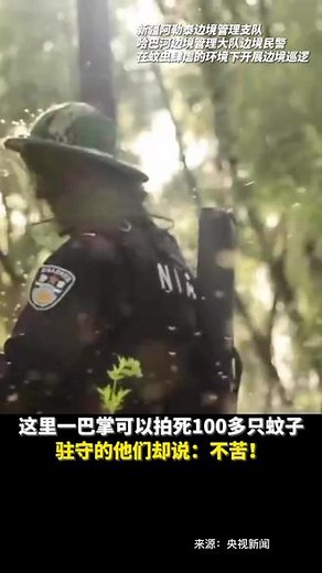 这里一巴掌可以拍死100多只蚊子，他们却说“不苦”#保家卫国