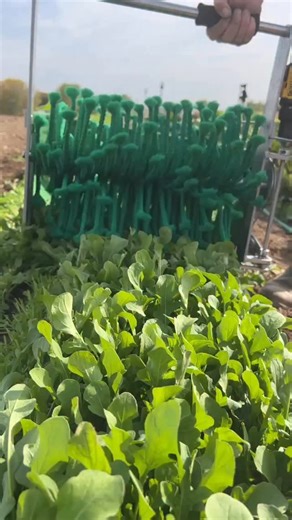 The Quick-Cut Greens Harvester turned one of our most time-consuming farm tasks into one of our most reliable systems. Harvesting bagged greens became faster, easier on our bodies, and consistent week after week — which is exactly why they became one of our most profitable crops. Using systems like this, we built a $100,000 market farm with just two people selling at one farmers market. Inside our High-Yield Market Farming course, we break down how tools like the Quick-Cut Greens Harvester fit i