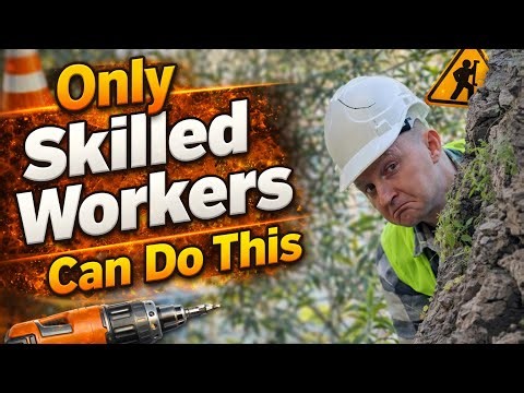 Only Skilled Workers Can Do This