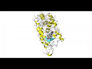 リガンドエントリメカニズム：どのようにしてリガンドは受容体と複合体を形成するのか