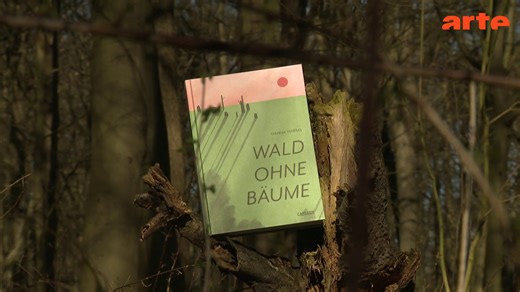 Graphic Novel: "Wald ohne Bäume" - Die ganze Doku